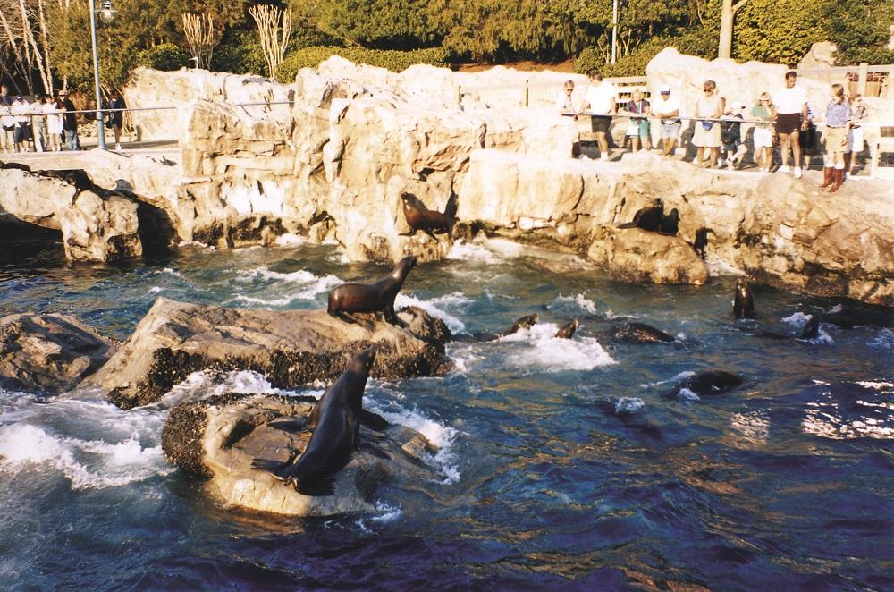 WaveTek creating waves for Zoos and Aquariums