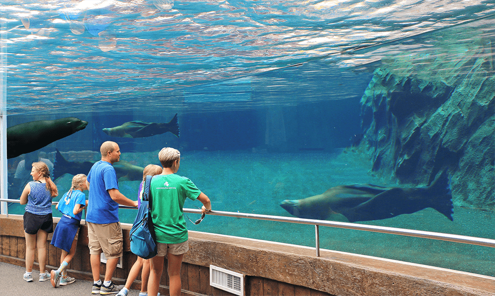 ADG Sea Lion Exhibit